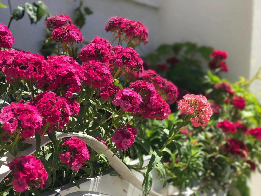 Sunny Bay Apartments Sarande Bagian luar foto